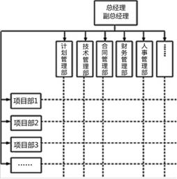 2019年一建項(xiàng)目管理趙春曉精講班考點(diǎn) 項(xiàng)目的組織 一
